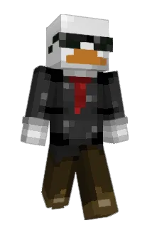 B00duck Minecraft avatar full body