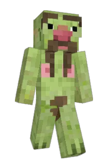 B0NKING Minecraft avatar full body
