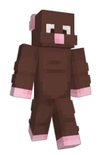 B0TReality Minecraft avatar full body