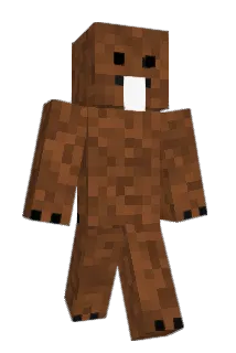 B0br2137 Minecraft avatar full body