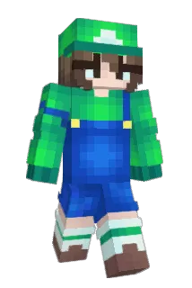 B10RG Minecraft avatar full body