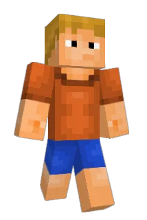 B1RDTP Minecraft avatar full body