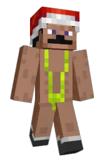 B1dr0n Minecraft avatar full body