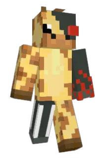 B1mer Minecraft avatar full body