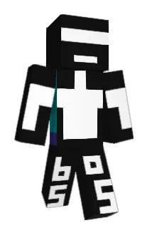 B3ARCE_L2NA Minecraft avatar full body