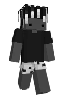 BACHITIADINHO Minecraft avatar full body