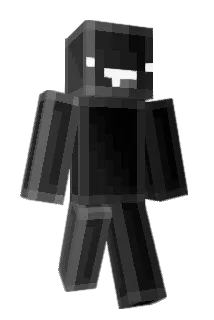 BACK_BACK_ Minecraft avatar full body