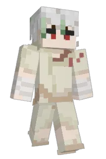 BAGHS17 Minecraft avatar full body