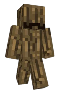 BAGSB10 Minecraft avatar full body
