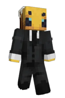 BAOGFEL Minecraft avatar full body