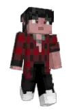 BAR_ON Minecraft avatar full body