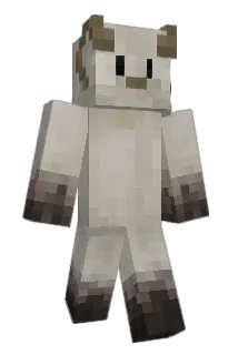 BBBokky Minecraft avatar full body
