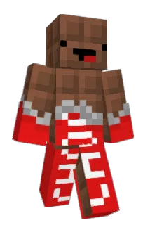 BBBoose Minecraft avatar full body
