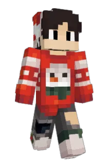BBR8 Minecraft avatar full body