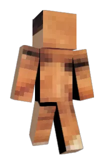 BCD3404 Minecraft avatar full body