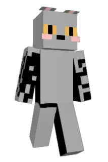 BCW2013 Minecraft avatar full body