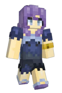 BDNAM Minecraft avatar full body