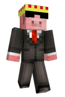 BDR1008 Minecraft avatar full body