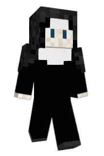 BEE1008 Minecraft avatar full body