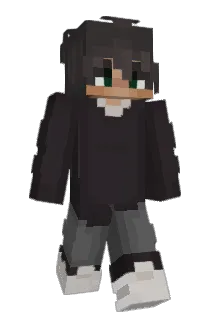 BEMZ2342 Minecraft avatar full body