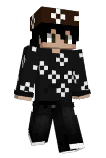 BEVHS Minecraft avatar full body