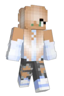 BEZZ1332 Minecraft avatar full body