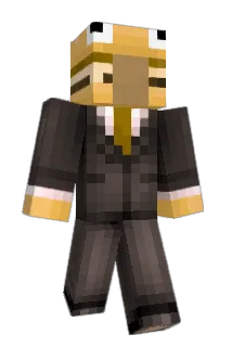 BFBM Minecraft avatar full body