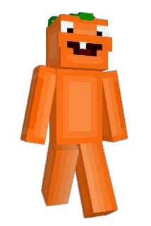 BGJR9877 Minecraft avatar full body