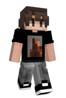 BGSZIN Minecraft avatar full body