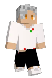 BG_AUDI Minecraft avatar full body