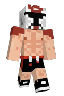 BH7122 Minecraft avatar full body
