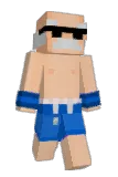 BHZ102 Minecraft avatar full body