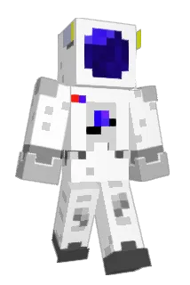 BIKE201017 Minecraft avatar full body