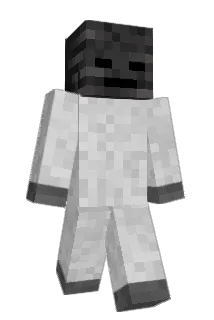 BINCI122 Minecraft avatar full body