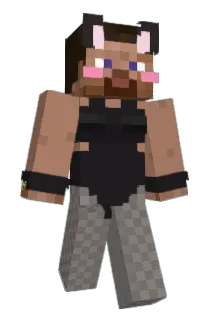 BIN__01 Minecraft avatar full body