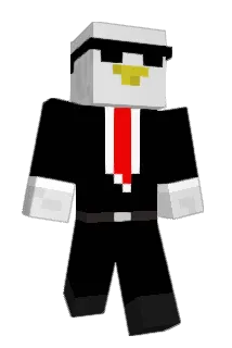 BIRB__MASTER Minecraft avatar full body