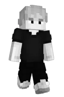 BJBraiden Minecraft avatar full body