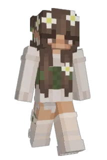 BJYangYang Minecraft avatar full body