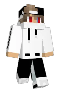 BLT_Tim Minecraft avatar full body