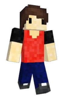 BNBERREY Minecraft avatar full body