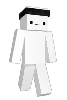 BNN54 Minecraft avatar full body