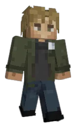 Custom render preview