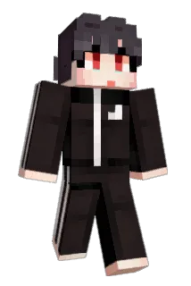 BORADOBI Minecraft avatar full body