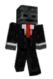 BORJa_09 Minecraft avatar full body