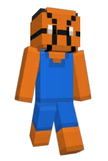 BORKEE Minecraft avatar full body