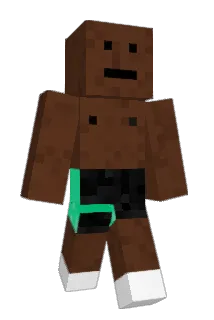 BORRITO Minecraft avatar full body