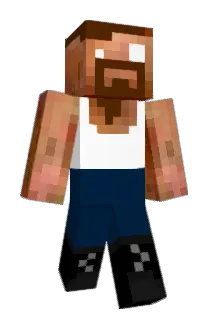 BOTHMAN Minecraft avatar full body