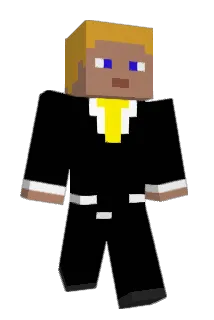 BR122898 Minecraft avatar full body