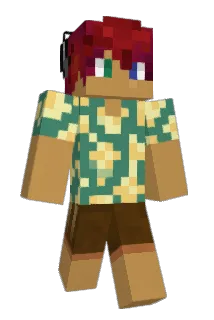 BR6D Minecraft avatar full body