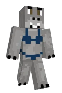 BRABYTR Minecraft avatar full body
